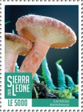 Сьерра-Леоне - Sierra Leone 2020