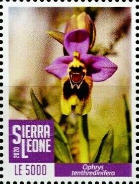 Сьерра-Леоне - Sierra Leone (2020)