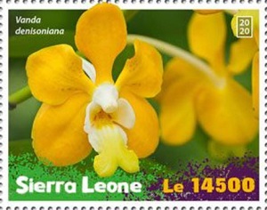 Сьерра-Леоне - Sierra Leone (2020)