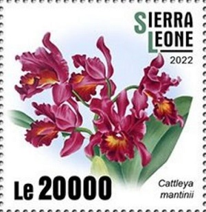 Сьерра-Леоне - Sierra Leone (2022)