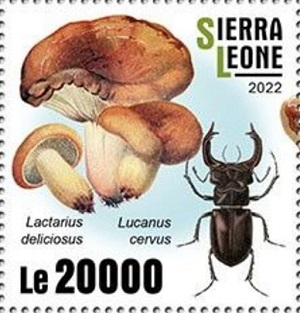 Сьерра-Леоне - Sierra Leone (2022) 