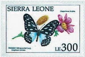 Сьерра-Леоне - Sierra Leone (A.abyssinicus - 1991) 