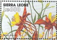 Сьерра-Леоне - Sierra Leone (1999)