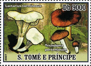 St.Thomas 2007