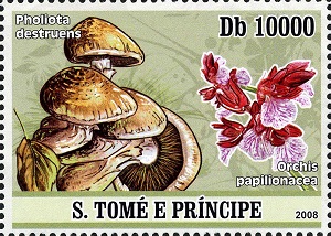 Sao Tome 2008
