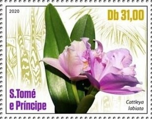 Сан-Томе и Принсипи - Saint Thomas (2020)
