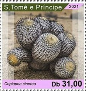 Сан-Томе и Принсипи - Saint Thomas and Principe (C.cineria - 2021)