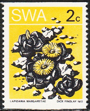 Африка Юго-Западная - South West Africa 1973