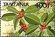 Танзания - Tanzania (1999)