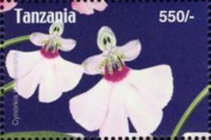 Танзания - Tanzania (2004)