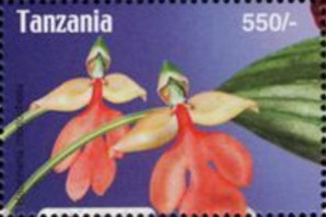Танзания - Tanzania (2004)