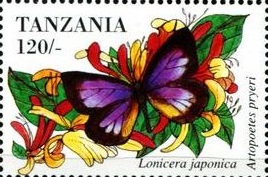 Танзания - Tanzania (1994)