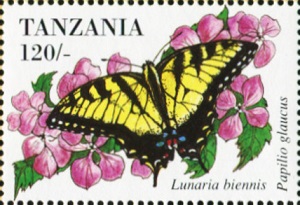 Танзания - Tanzania (L.biennis - 1994)