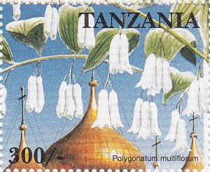 Танзания - Tanzania (1997)