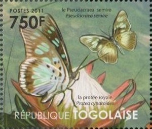 Togo 2011