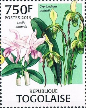 Togo 2013
