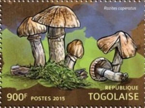 Togo 2015