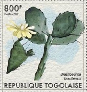 Того - Togo (T.globiferus - 2021)
