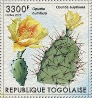 Того - Togo (T.globiferus - 2021)