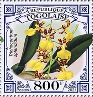 Того - Togo 2021