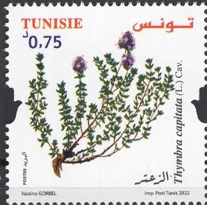 Тунис - Tunisia (2022)