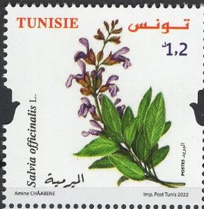 Тунис - Tunisia (2022)
