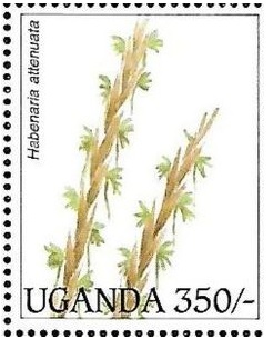 Уганда - Uganda (1995)