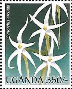 Уганда - Uganda (1995)