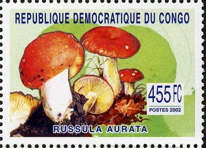 DRC 2002