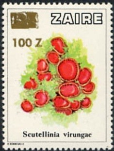 Zair 1990