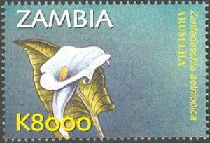 Zambia 2002