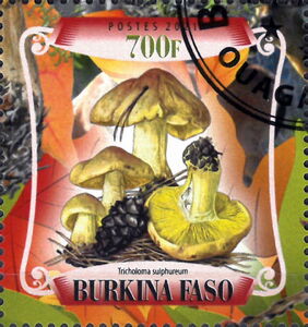 Буркина Фасо - Burkina Faso (2021)