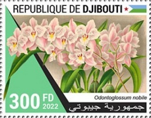 Джибути - Djibouti (2022)