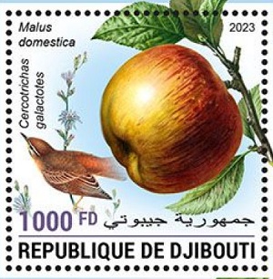 Джибути - Djibouti (2023)