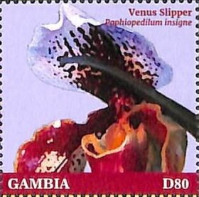 Гамбия - Gambia (2022) 