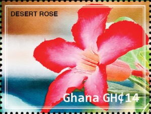 Гана - Ghana (2023) 