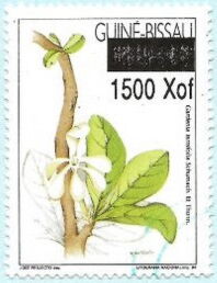 Guinea Bissau 2000