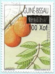 Guinea Bissau 2000