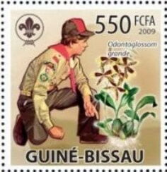 Гвинея-Бисау - Guinea Bissau (2009)