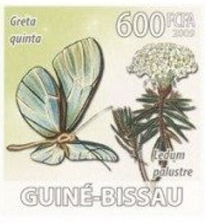 Гвинея-Бисау - Guinea Bissau (2009)
