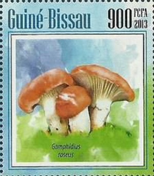 Гвинея-Бисау - Guinea Bissau (2013)