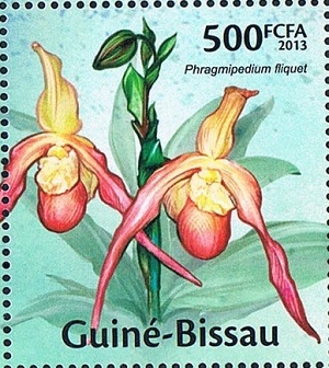 Гвинея-Бисау - Guinea Bissau (2013)