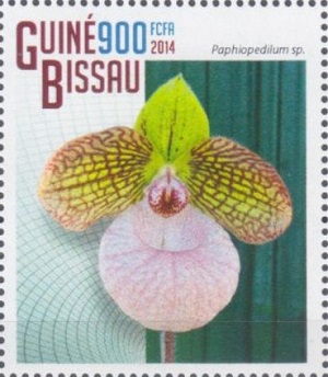 Гвинея-Бисау - Guinea Bissau (2014)