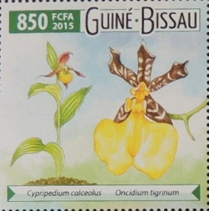 Гвинея-Бисау - Guinea Bissau (2015)
