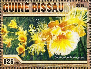 Гвинея-Бисау - Guinea Bissau (2016)