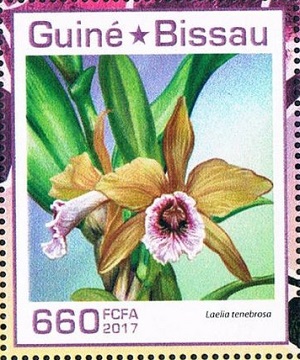 Гвинея-Бисау - Guinea Bissau (2017)