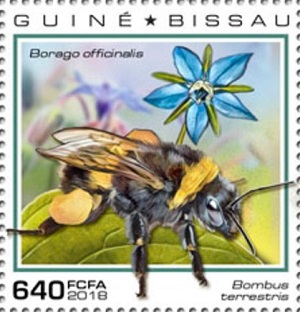 Гвинея-Бисау - Guinea Bissau (2018)