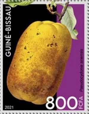 Гвинея-Бисау - Guinea Bissau (2021)
