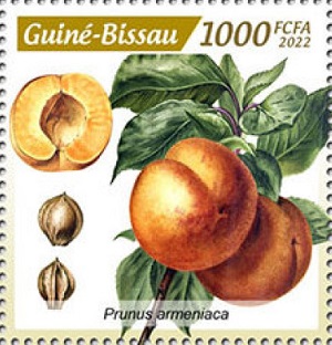 Гвинея-Бисау - Guinea Bissau 2022