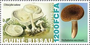Гвинея-Бисау - Guinea Bissau (2021)




